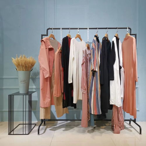 廣州批發(fā)女裝多少錢武漢市品牌折扣店女裝批發(fā)羽絨服哪家好